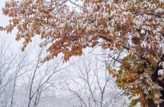 The Little Issues Publication #496 – Life, laughter, and plenty of nice meals!