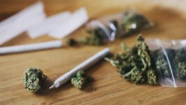 Hashish-Induced ‘Scromiting’ Is on the Rise, Examine Finds