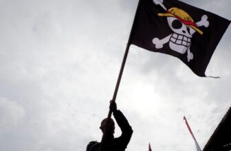 What the One Piece Flag Is Doing in Mexico Throughout Protests