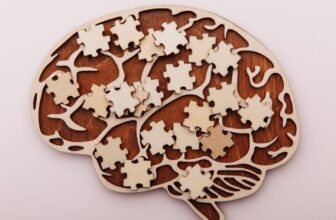 The Scientists Who Wish to Rewire Your Previous to Repair the Current