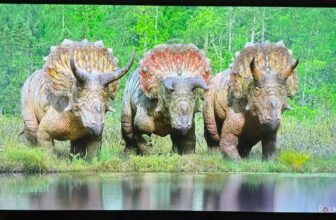 This LG TV is large on vivid colours however lacks particulars in the dead of night