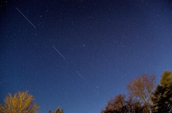 Starlink is decreasing hundreds of satellites’ orbits to cut back threat of collisions