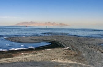 Researchers Uncover Beforehand Unknown Species in Utah’s Nice Salt Lake