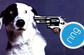 Amazon’s Ring Needs to Wash Away Your Surveillance Considerations With Misplaced Puppies