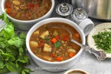 Gradual Cooker Lentil Soup