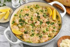 Garlic Butter Shrimp Orzo Recipe