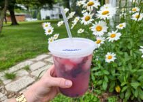Straightforward Mocktails – Barefeet within the Kitchen